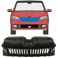 Säleikkö varten Skoda Fabia 2018-2021 16214