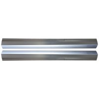 Kynnyspelti korjauspaneeli varten Renault Megane III 2008-2016 / Vasen+Oikea / Sarja 16045